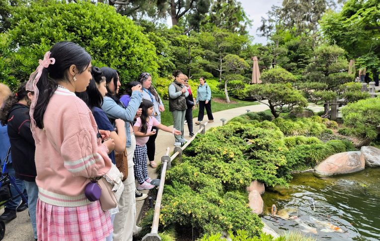 Feeding the koi